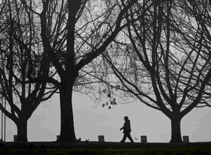 Un uomo cammina sotto alcuni alberi d'inverno