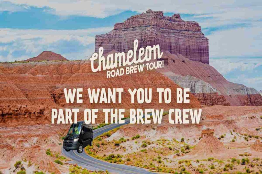 La campagna della compagnia americana chameleon