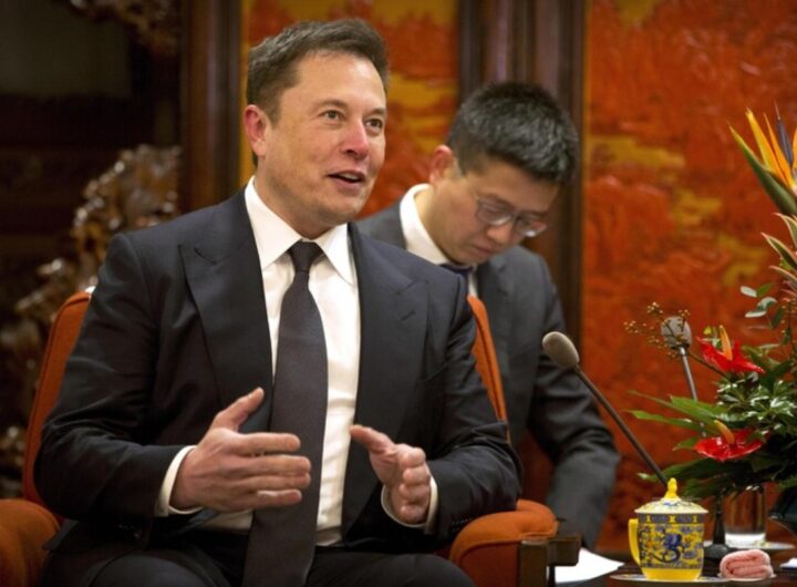 elon musk in cina