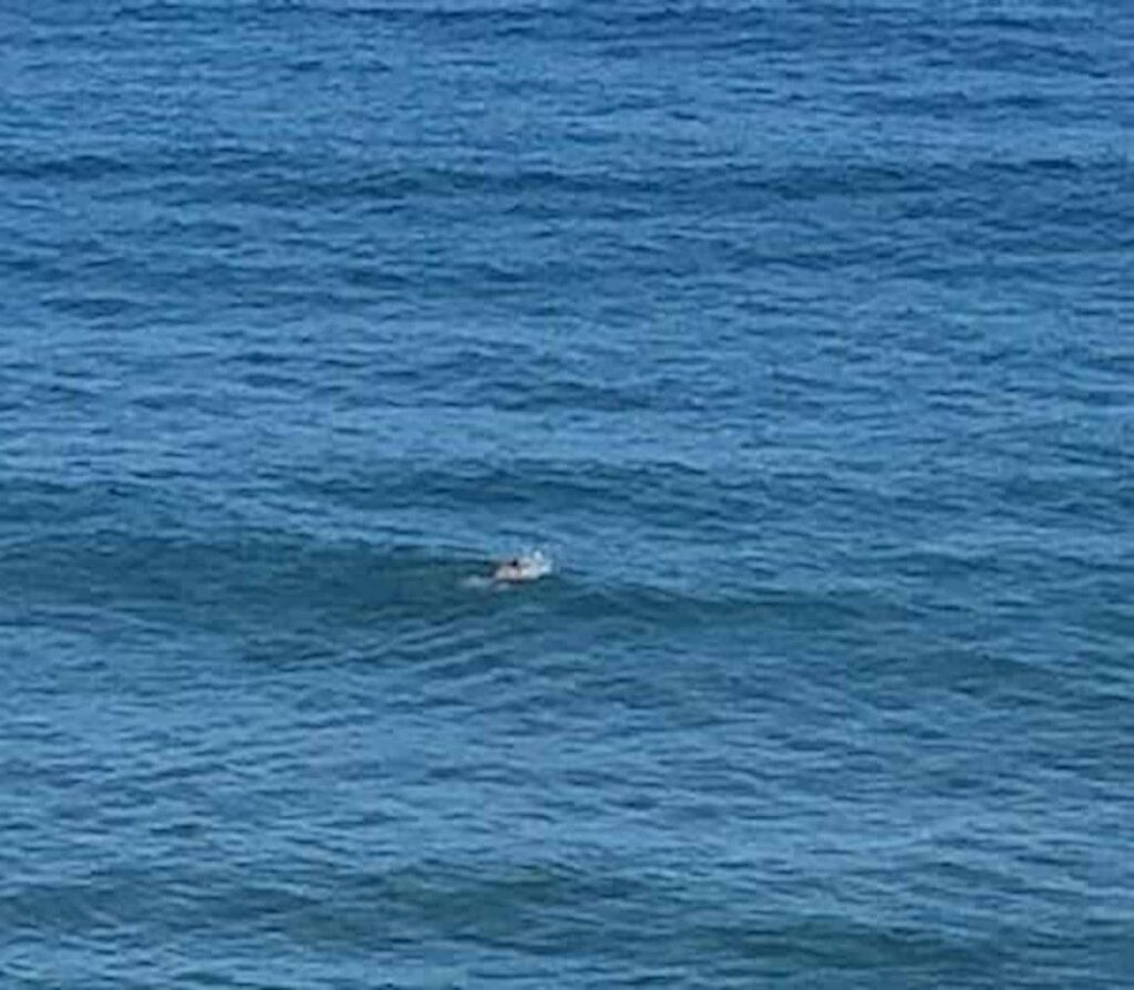 Mare d’inverno, nuotare nell’acqua a 12 gradi mentre fuori sono 5 gradi