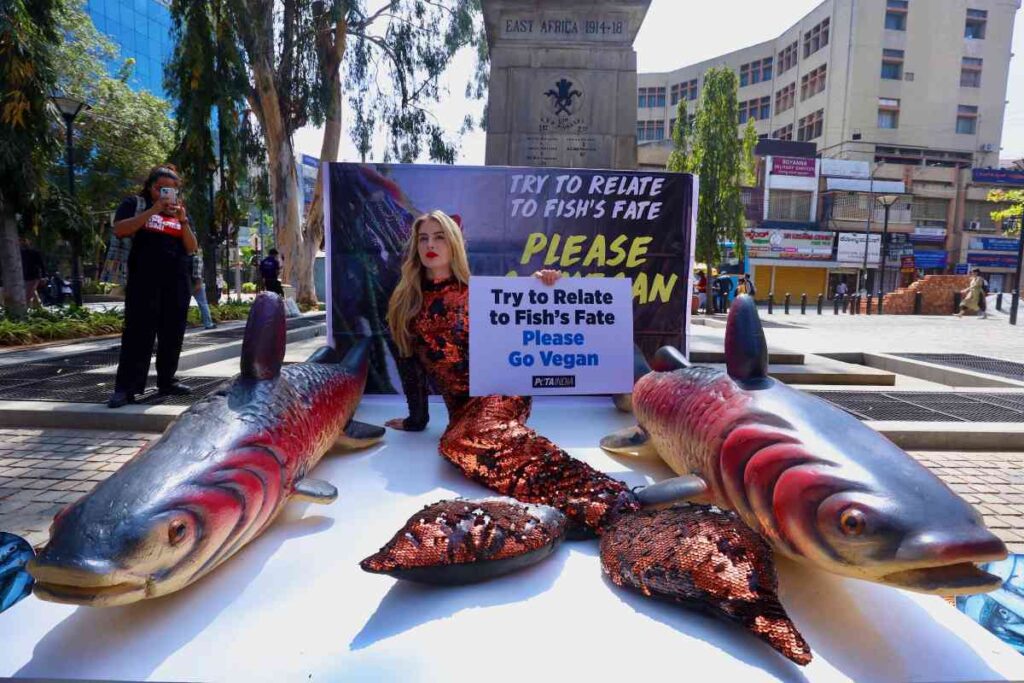 peta protesta consumo pesce