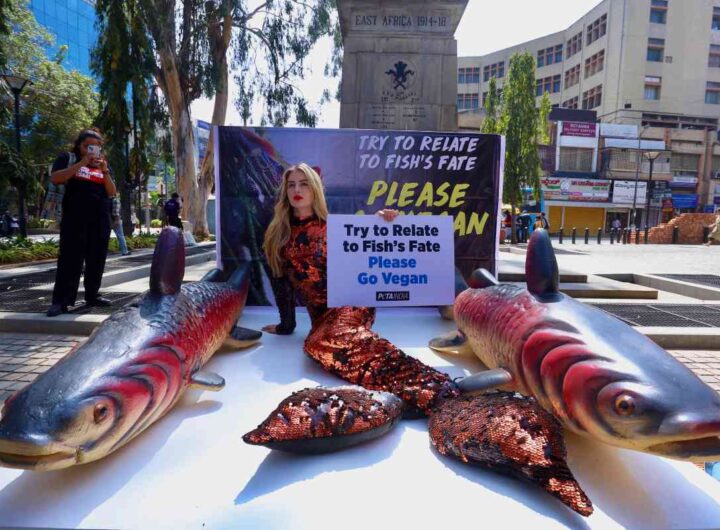 peta protesta consumo pesce