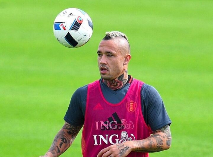 radja nainggolan