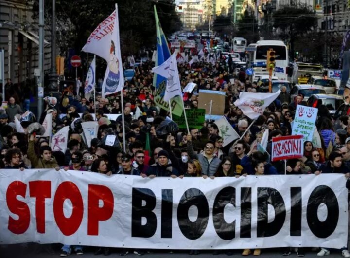 stop biocidio terra dei fuochi