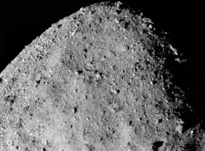 bennu