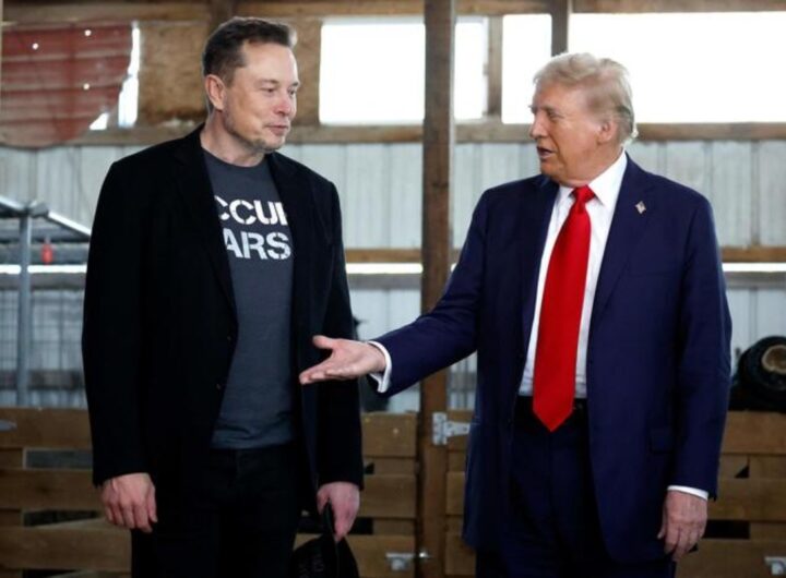 elon musk donald trump