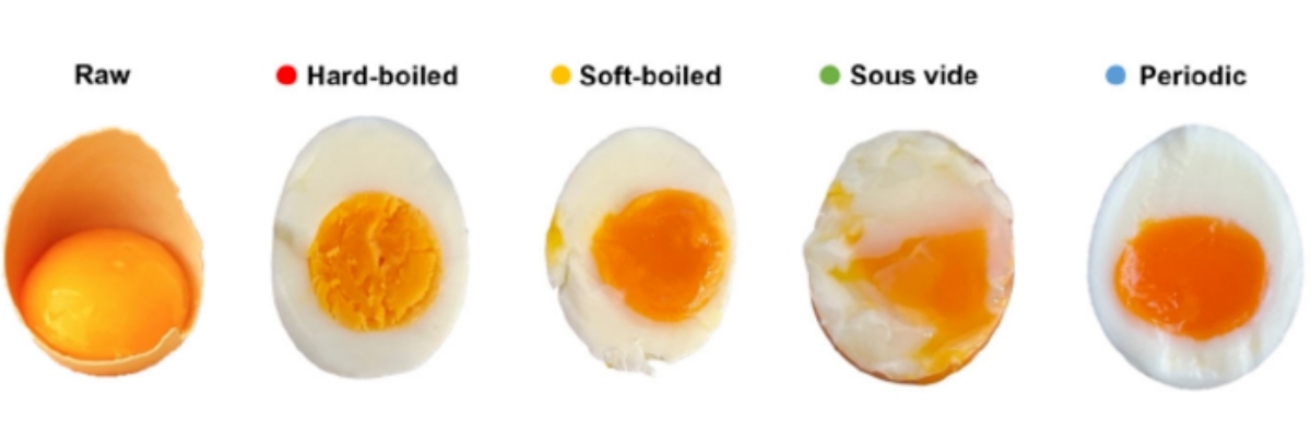 uova sode a diversi gradi di cottura