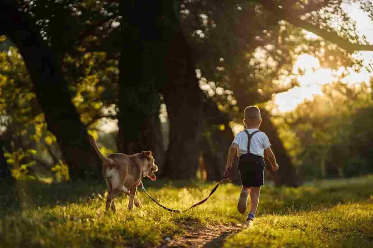 Un bambino con un cane