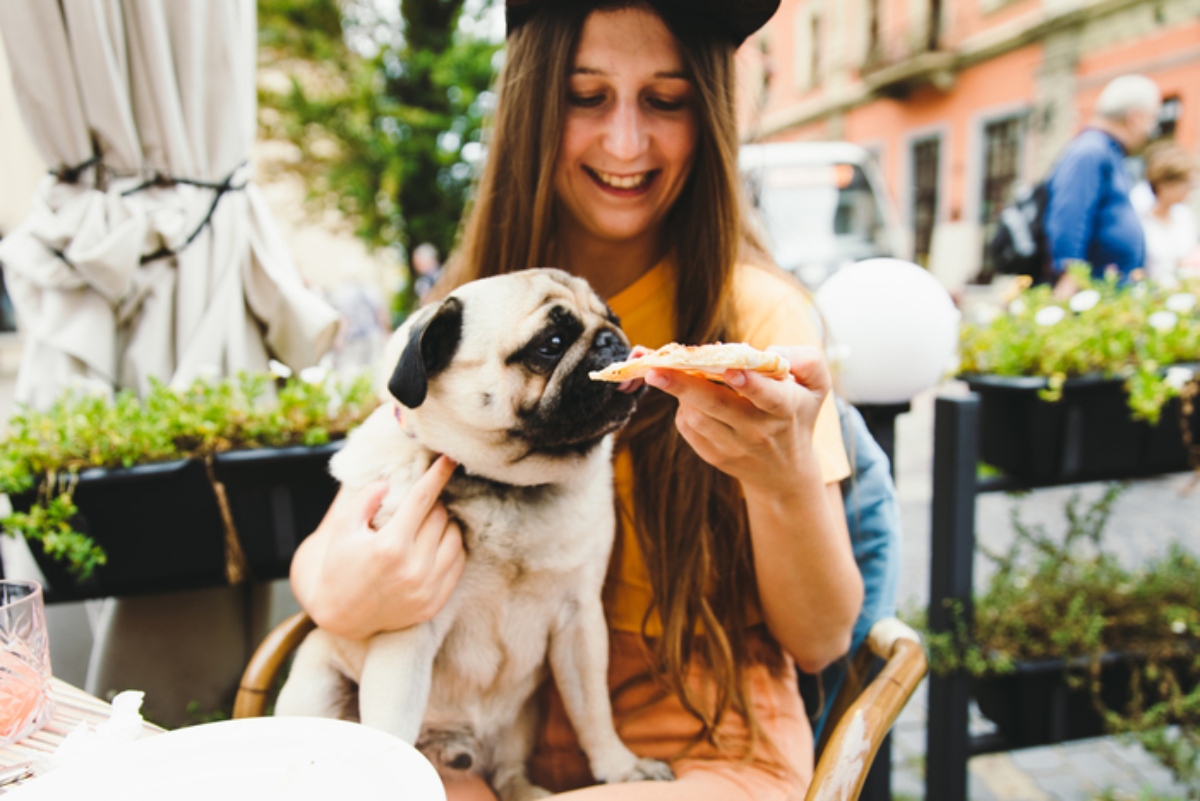 cane allettato da una fetta di pizza