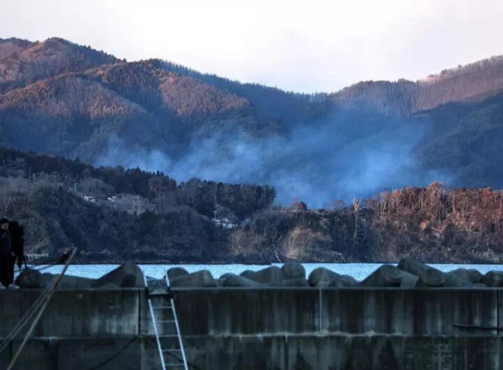 incendi in giappone