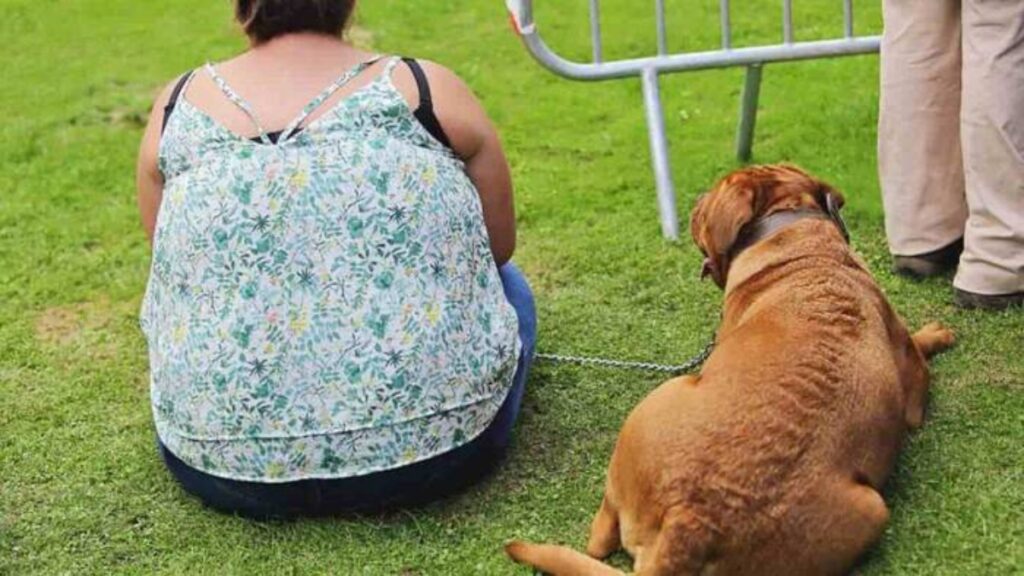 cane con la sua padrona