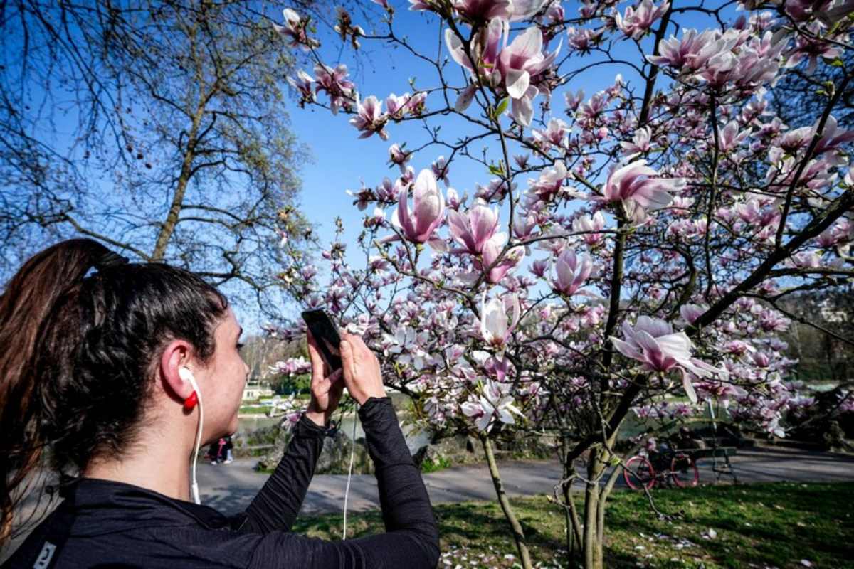 un assaggio di primavera