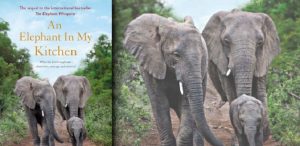 "An Elephant In My Kitchen", il libro di Françoise Malby-Anthony: "Quando mio marito è morto gli elefanti..."