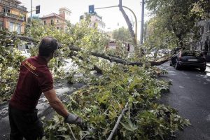Roma, albero cade in viale Regina Margherita e schiaccia auto. Traffico in tilt