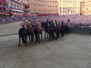 Palio di Siena, the horse Raol died after a ruinous fall