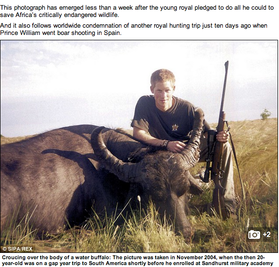 Principe Harry in posa con bufalo morto: la foto che imbarazza Buckingham Palace