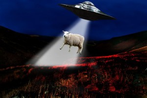 Ufo che rubano pecore: le denunce a Lampeter e Aberystwyth (Galles)
