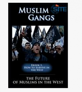 Isis: "Formate gang jihad in occidente e prendete Roma"