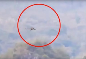 Cina, strana creatura in volo: drago o pterodattilo? 