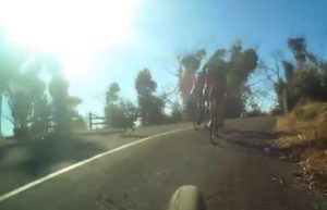 Canguro salta sulla testa del ciclista 
